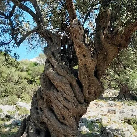 Adelheid In Biograd Near Drazica Apartman Biograd na Moru